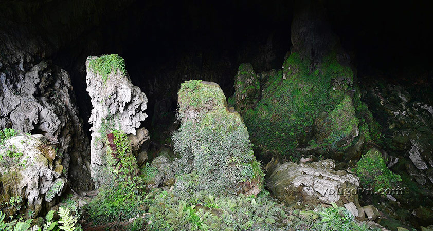 Hang Kho Mường là một trong số hang động có vẻ đẹp hấp dẫn trong quần thể các hang động được phát hiện trong Khu bảo tồn thiên nhiên Pù Luông