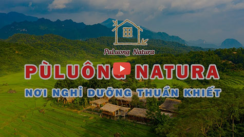 ✓Puluong Natura Bungalow | Pu Luong Hotel | Puluong resort