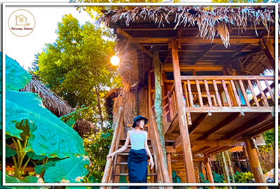 ☘️Phòng Treehouse Pool-Valley View