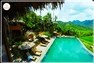 Phòng Treehouse Pool-Valley View