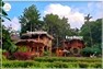 Treehouse Pool-Vallée Vue (Chambre sur pilotis)