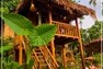 Treehouse Pool-Vallée Vue (Chambre sur pilotis)