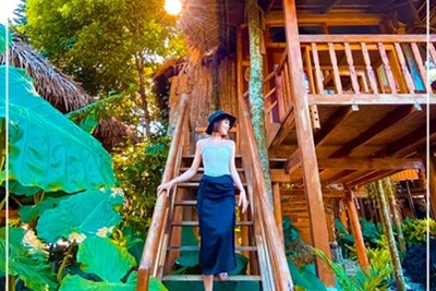 Treehouse Pool-Vallée Vue (Chambre sur pilotis)