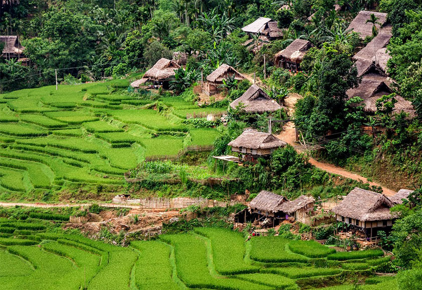 Simple stilt houses are scattering among endless terraces of rice