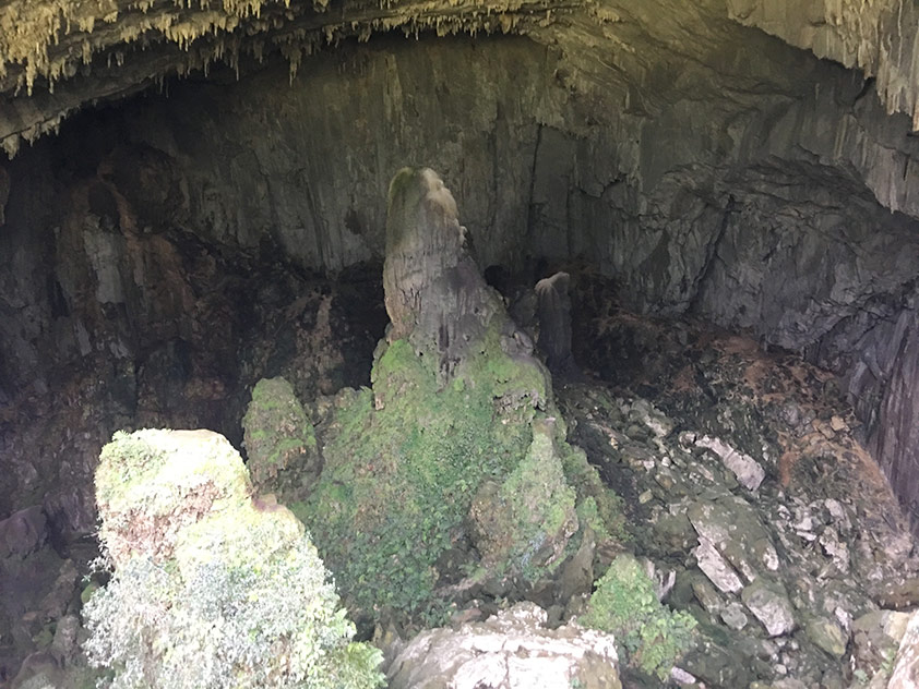 Những vách đá xanh trong hang là nơi trú ngụ của nhiều loài dơi