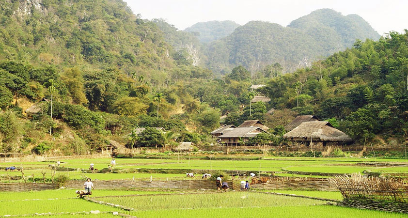 The charming beauty of Kho Muong Village