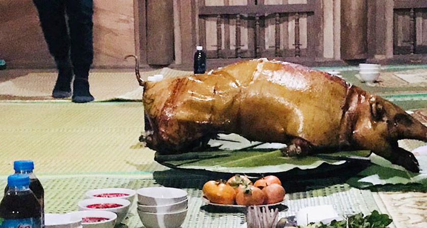 Wild pig meat attracts tourists from the first time smelling