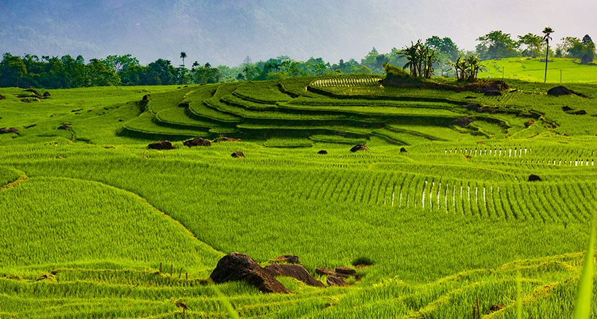 Đến với Pù Luông Thanh Hóa để khám phá vẻ đẹp hoang sơ, yên bình và thơ mộng của núi rừng và những thung lũng xanh mướt. Trong hình là khung cảnh tuyệt đẹp của đồi chè Cao.