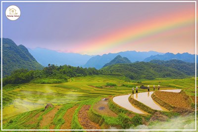 Ruộng bậc thang Natura