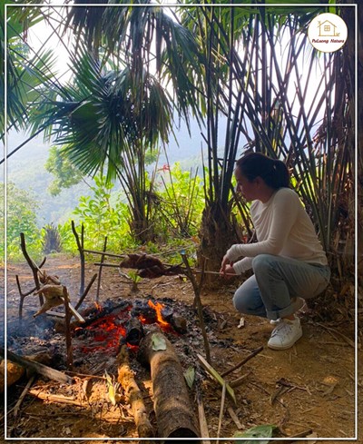 Đồi Cọ Khổng Lồ