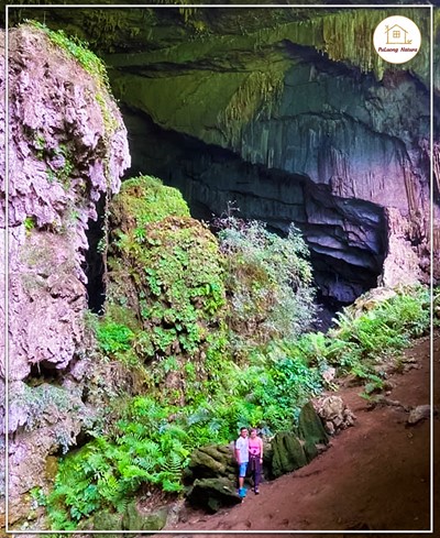Hang Dơi Kho Mường